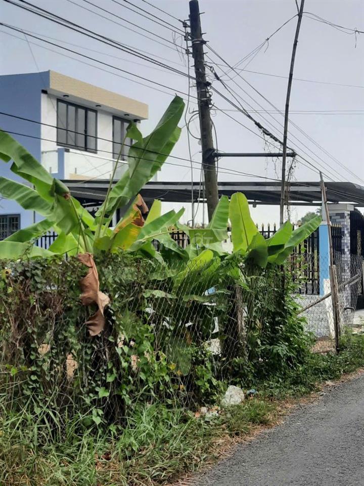 bán đất mặt tiền đường nhựa xã bình an thủ thừa  dt (5 x 40 = 200m2)