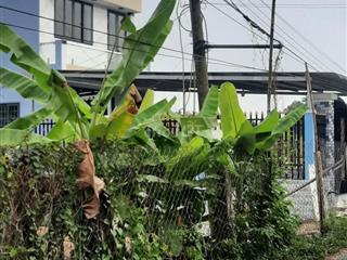 bán đất mặt tiền đường nhựa xã bình an thủ thừa  dt (5 x 40 = 200m2)