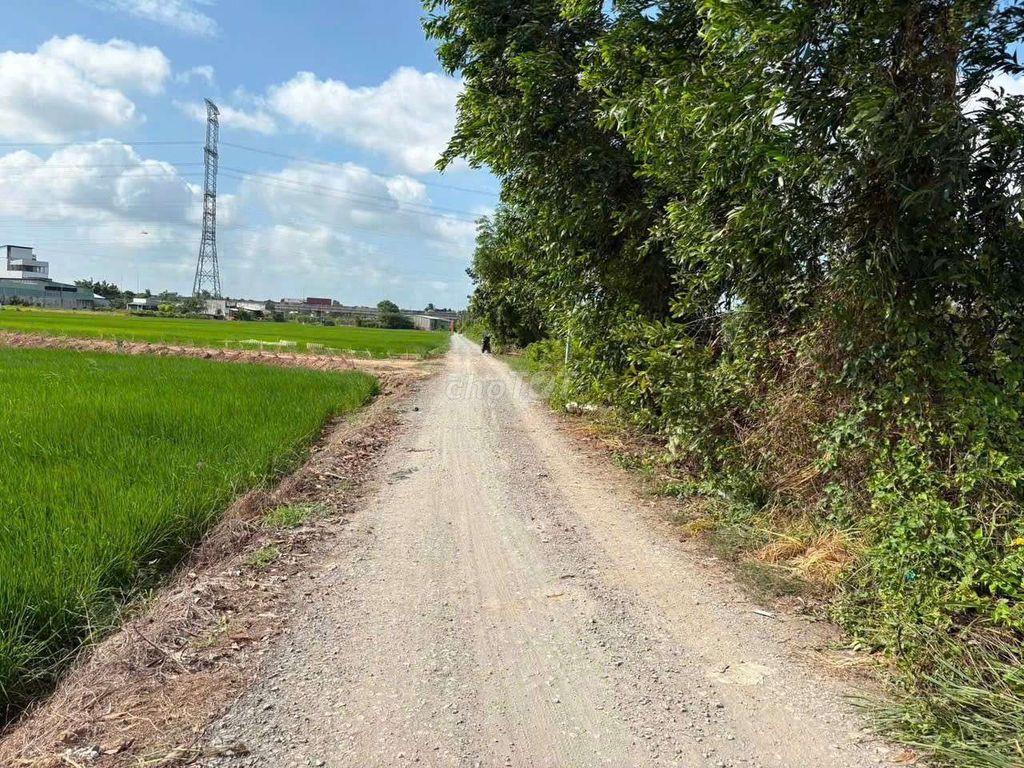 Hàng hiếm KCN Cầu Tràm, đất full thổ sát dự án Vin Phước Vĩnh Tây