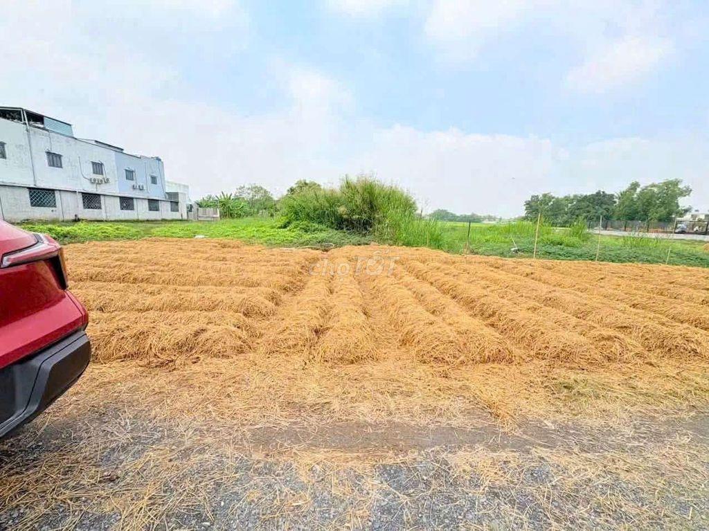 Hàng hiếm KCN Cầu Tràm, đất full thổ sát dự án Vin Phước Vĩnh Tây