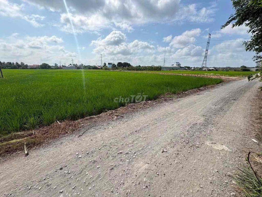 Cần bán gấp, đất cầu Tràm giá rẻ 4 tỷ 150, có sổ