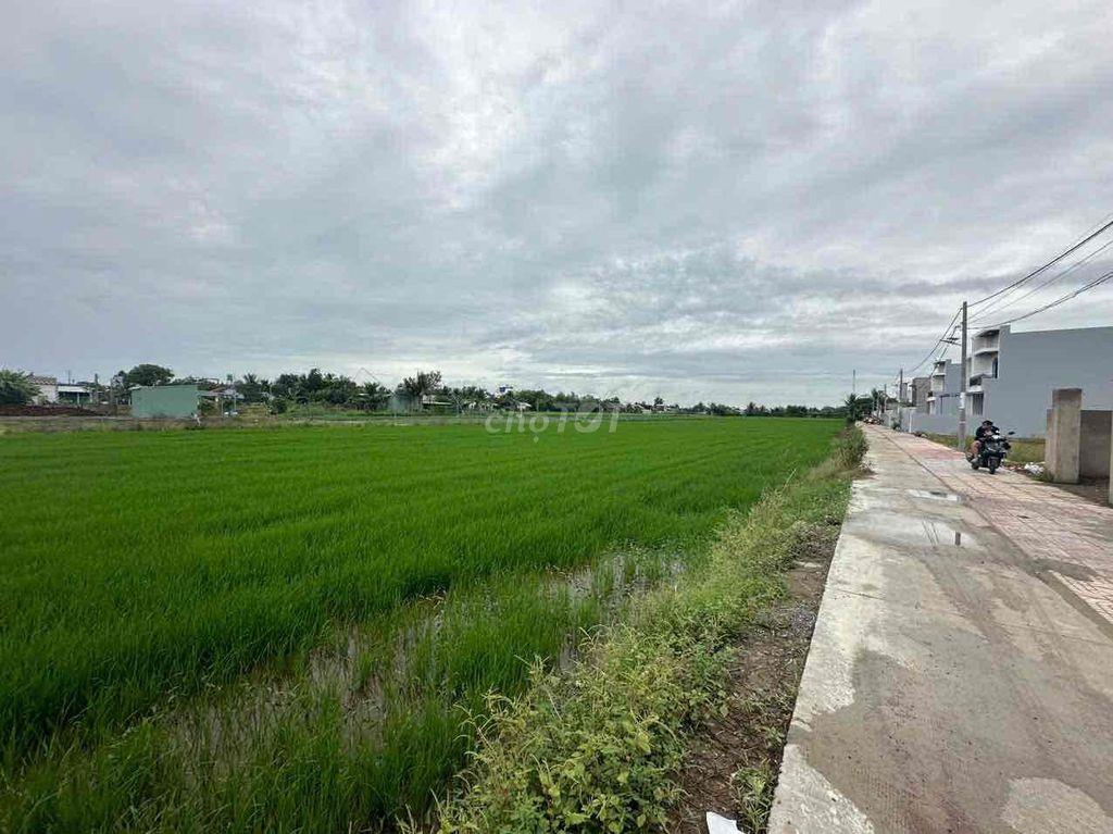 Bán Đất Long An