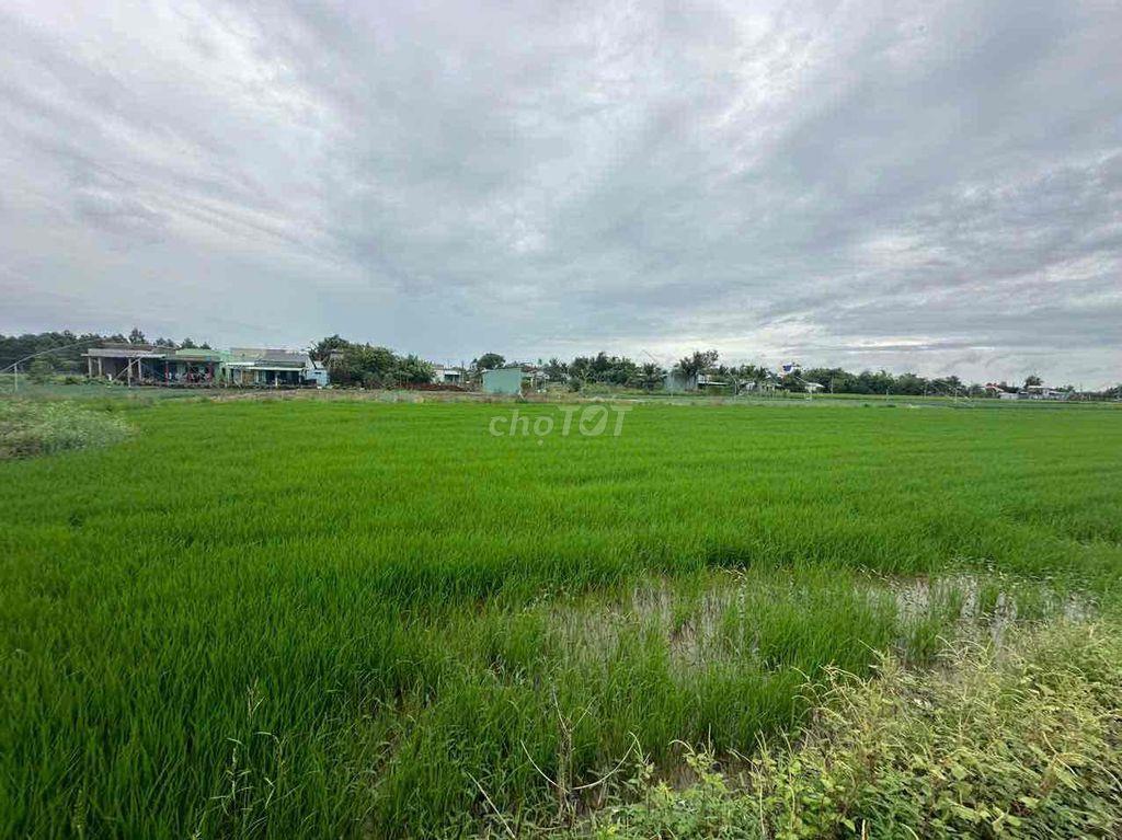 Bán Đất Long An