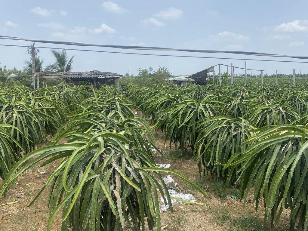 Bán gấp lô đất đẹp Châu Thành - sổ hồng riêng - đường xe hơi - giá tốt