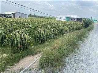 Bán gấp lô đất đẹp Châu Thành - sổ hồng riêng - đường xe hơi - giá tốt