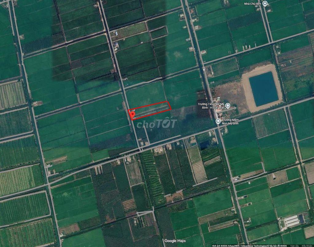 Chính chủ bán trọn 11.476m² đất tại Mỹ Bình, Đức Huệ, có 820m² thổ cư