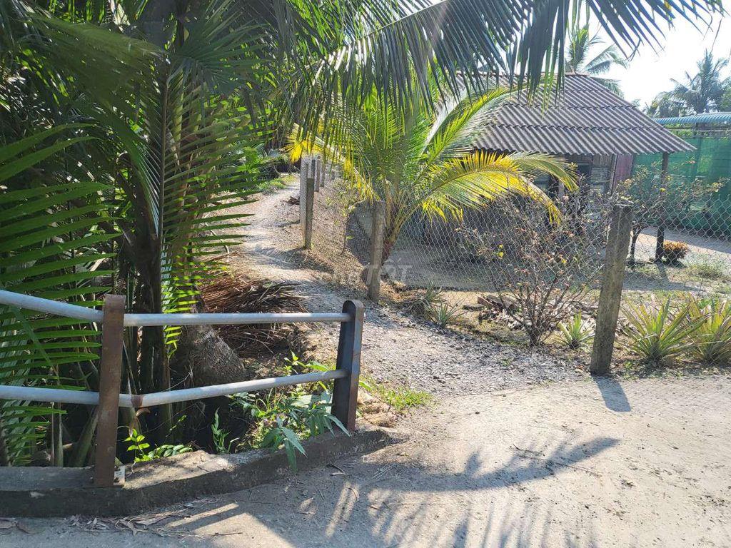 Bán đất Bến Lức
