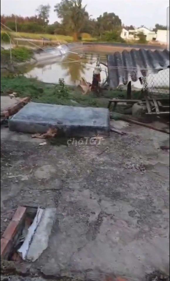 4 công đất đang nuôi tôm cá