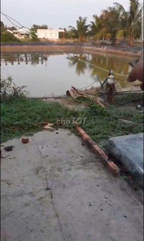 4 công đất đang nuôi tôm cá