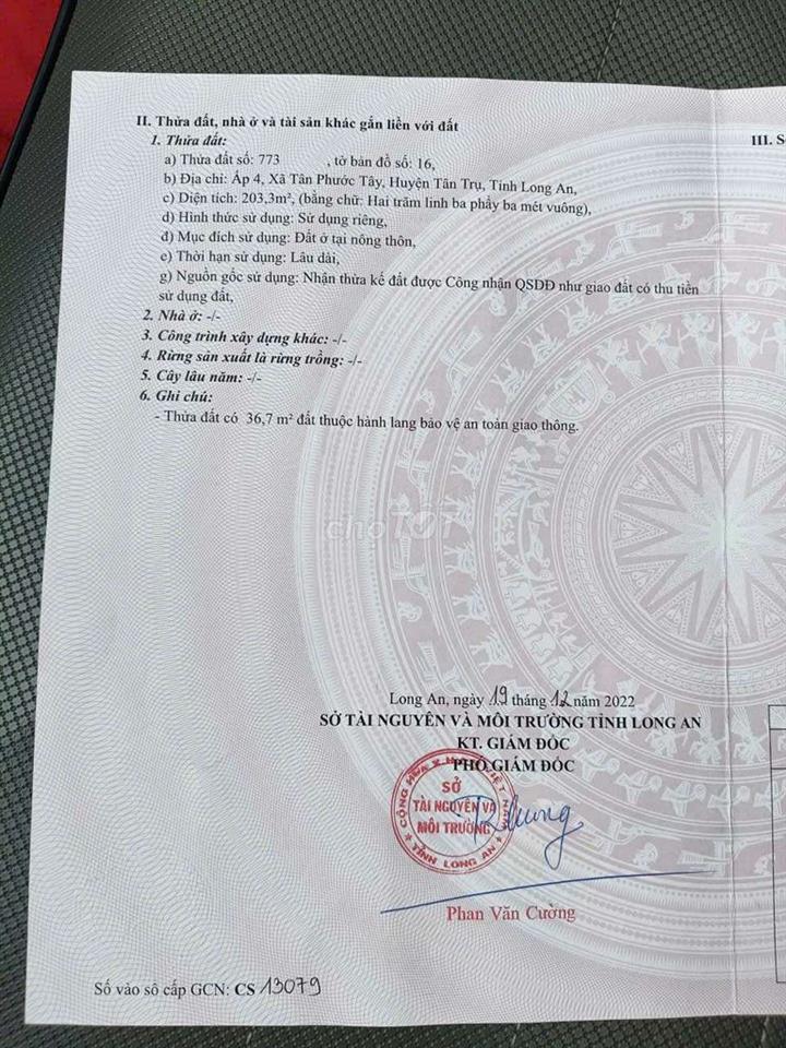 Bán đất tân trụ long an