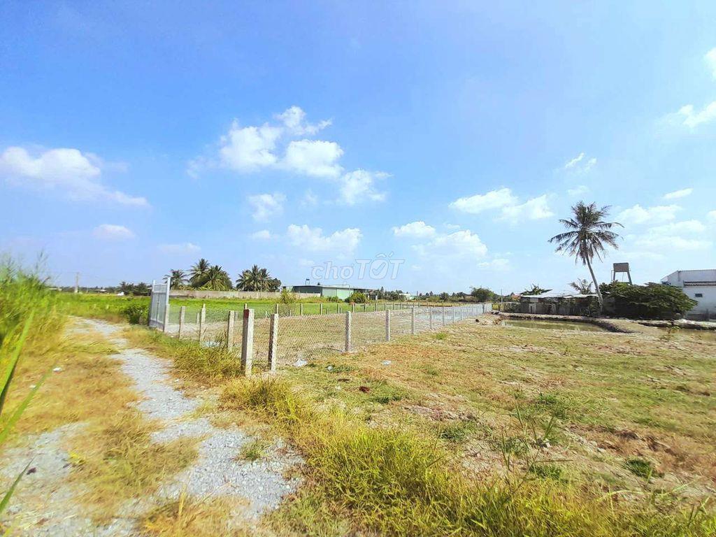Đất trồng cây Tân Trụ Long An