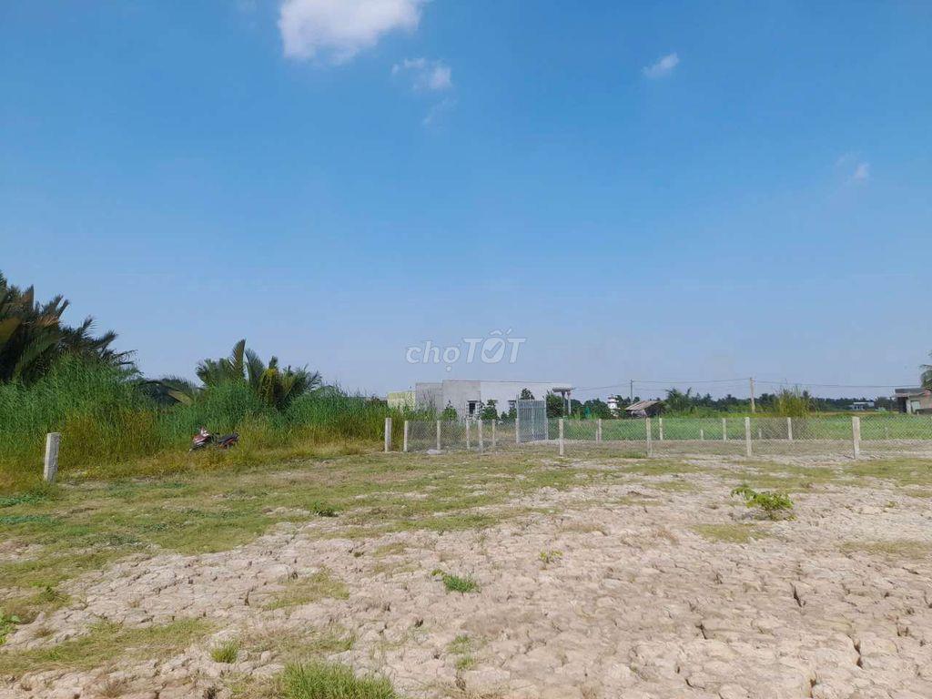 Đất trồng cây Tân Trụ Long An
