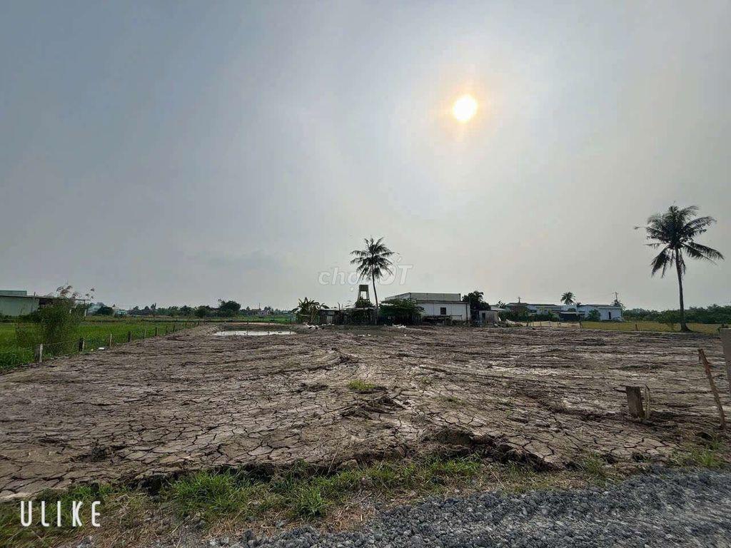Đất trồng cây Tân Trụ Long An
