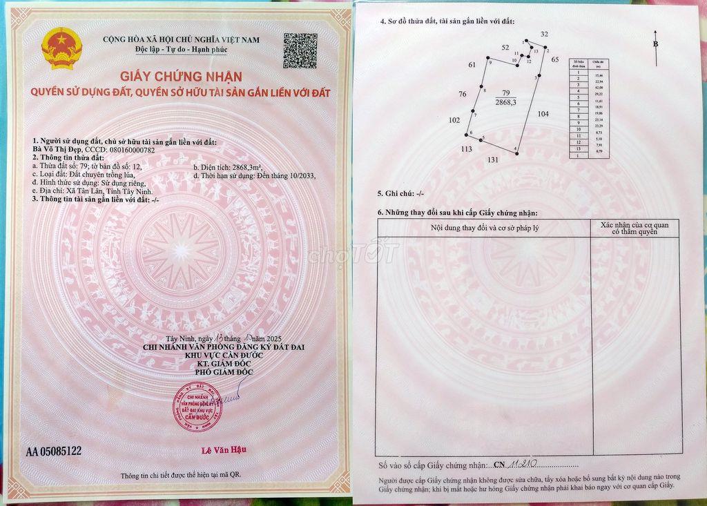 Chính chủ bán 2868,3m2 đất ruộng giá 400tr tại Xã Tân Lân, Long An
