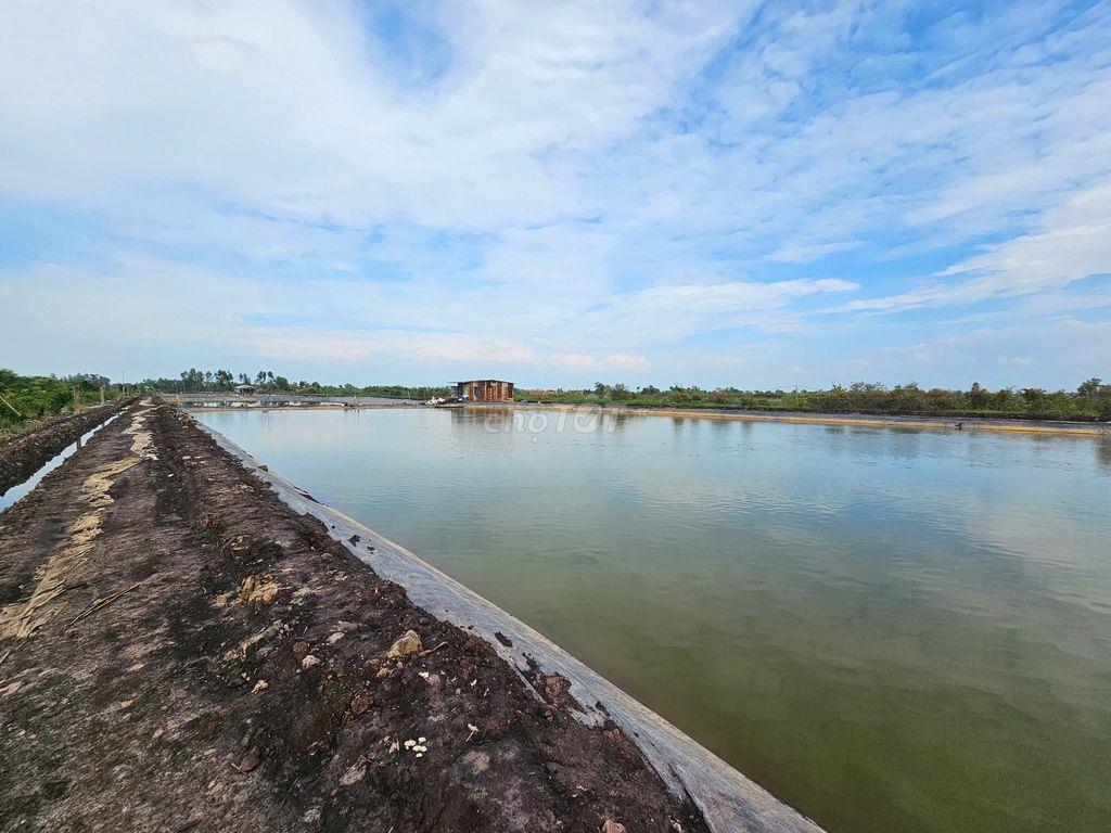 bán đất Long An
