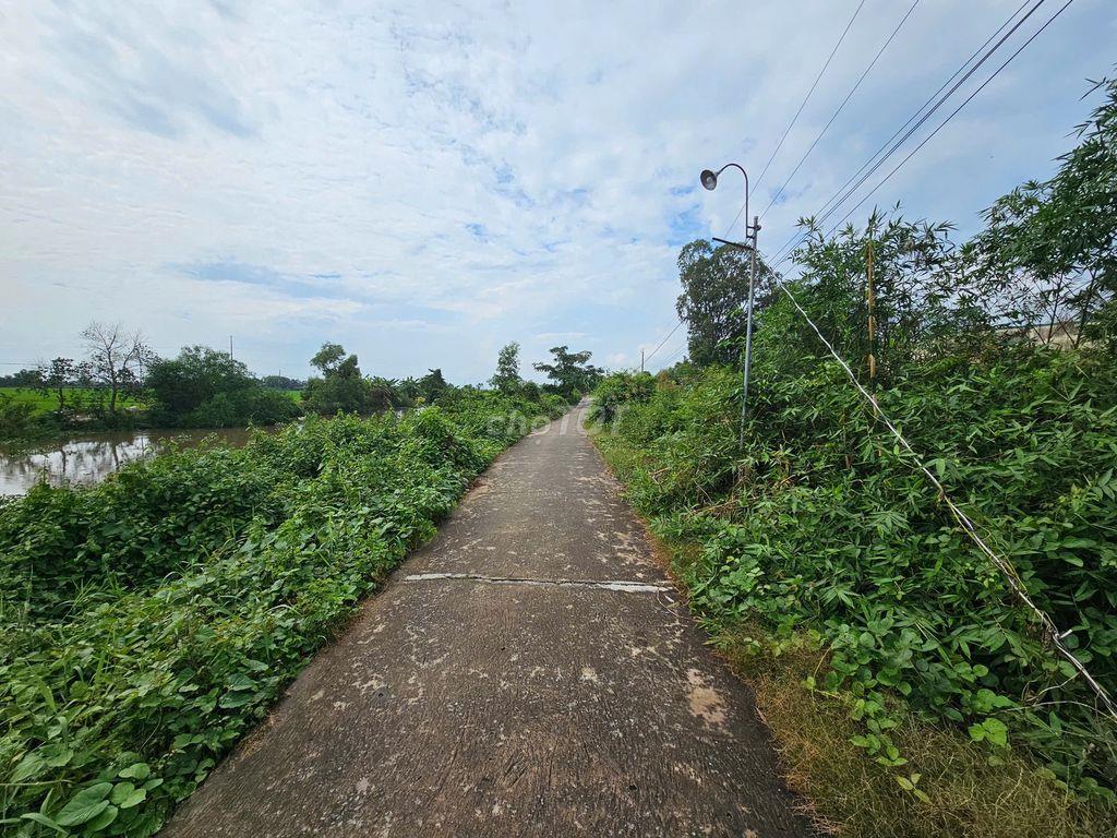 bán đất Long An
