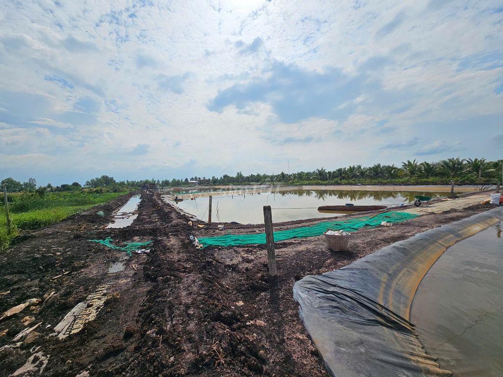 bán đất Long An