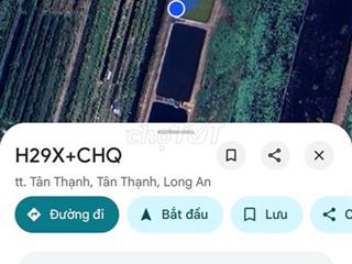 bán đất Long An