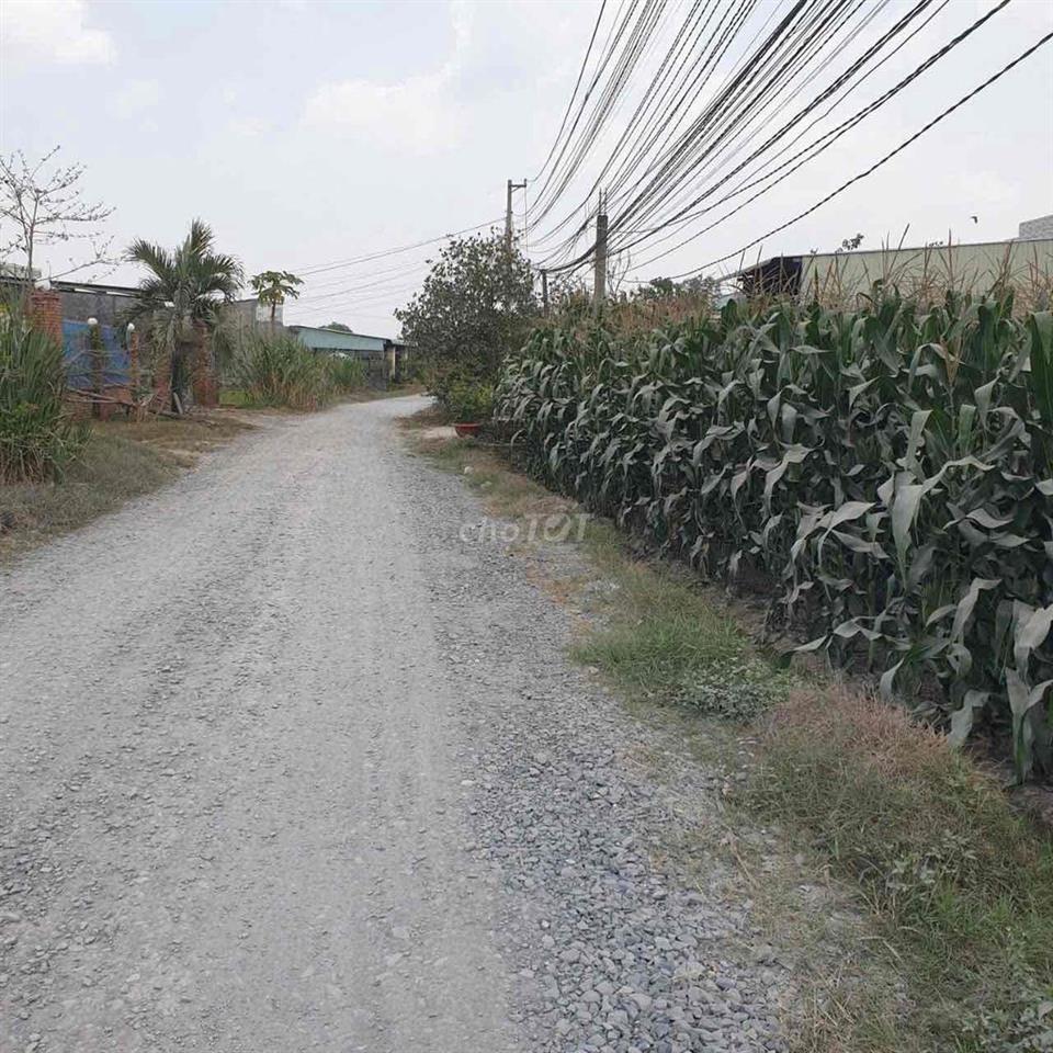chính chủ gửi bán 1038m có 580m thổ đất mỹ hạnh bắc