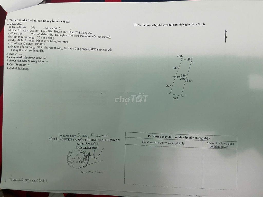 chủ gửi bán 3 mẫu đức huệ gần đường Tân Ninh - Tân An cbi khởi công