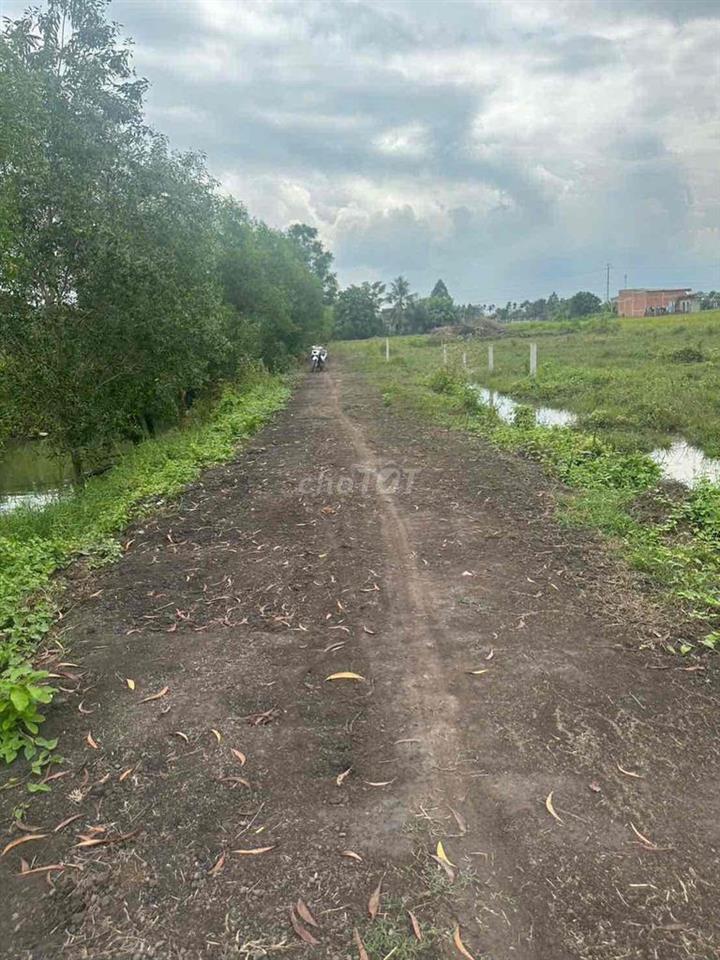 ĐẤT thổ cư gần Vinhomes
