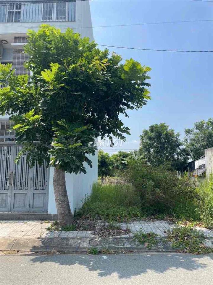 Đất chính chủ, sổ hồng cầm tay