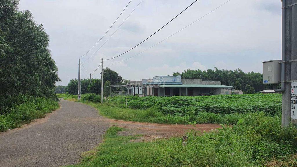 Bán 123m2 đường nhựa,Đất Đỏ, Tp.HCM giá 660tr