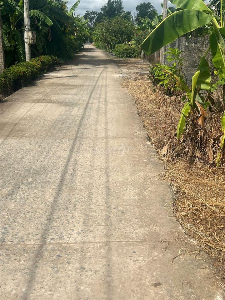Chính chủ đất 5x30m Nhị Thành Thủ Thừa Long An