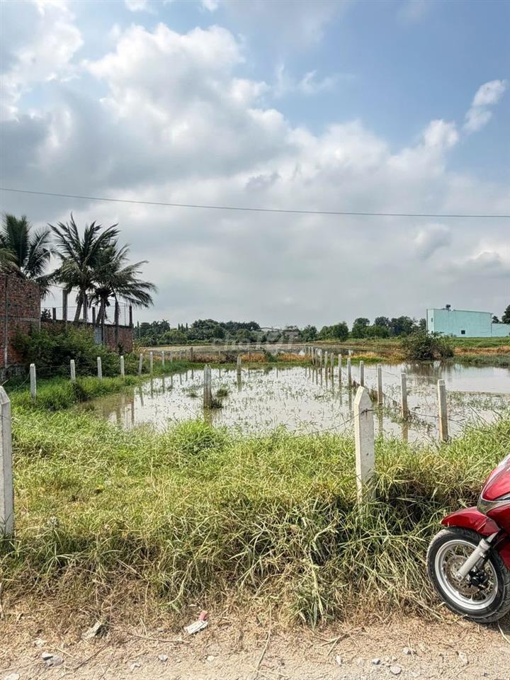 Đất nền khu dân cư thị trấn Đức Hòa