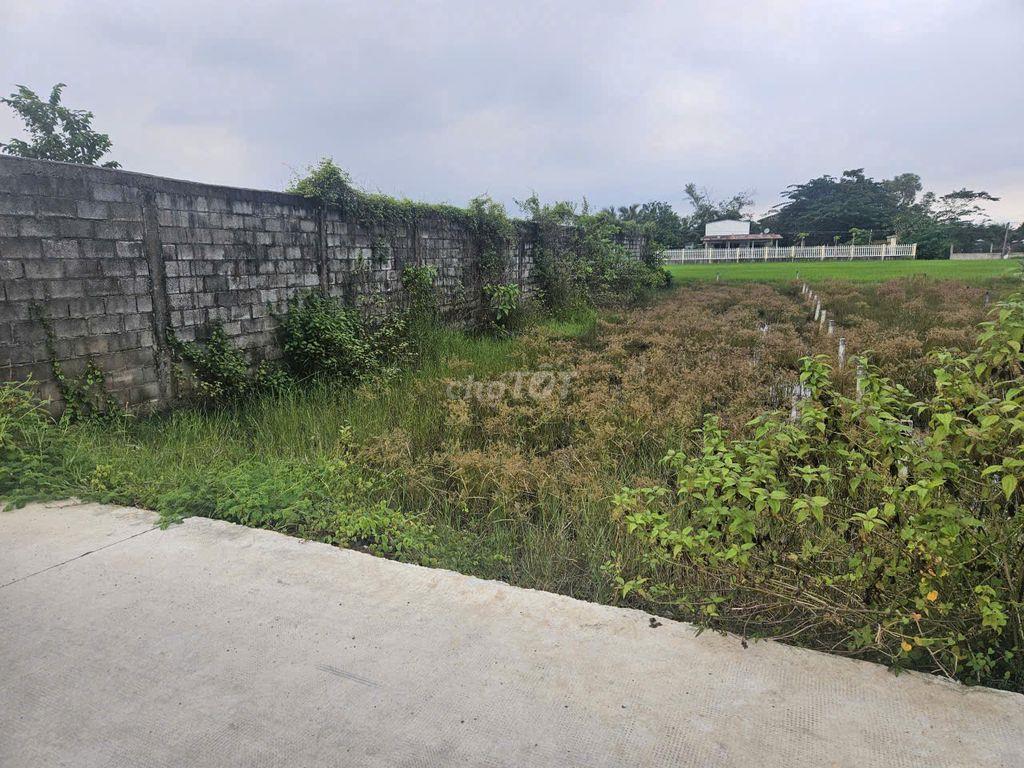 CẦN BÁN GẤP ĐẤT THỔ CƯ 297M² - TẠI HÒA KHÁNH TÂY , LONG AN - GIÁ 2 TỶ 