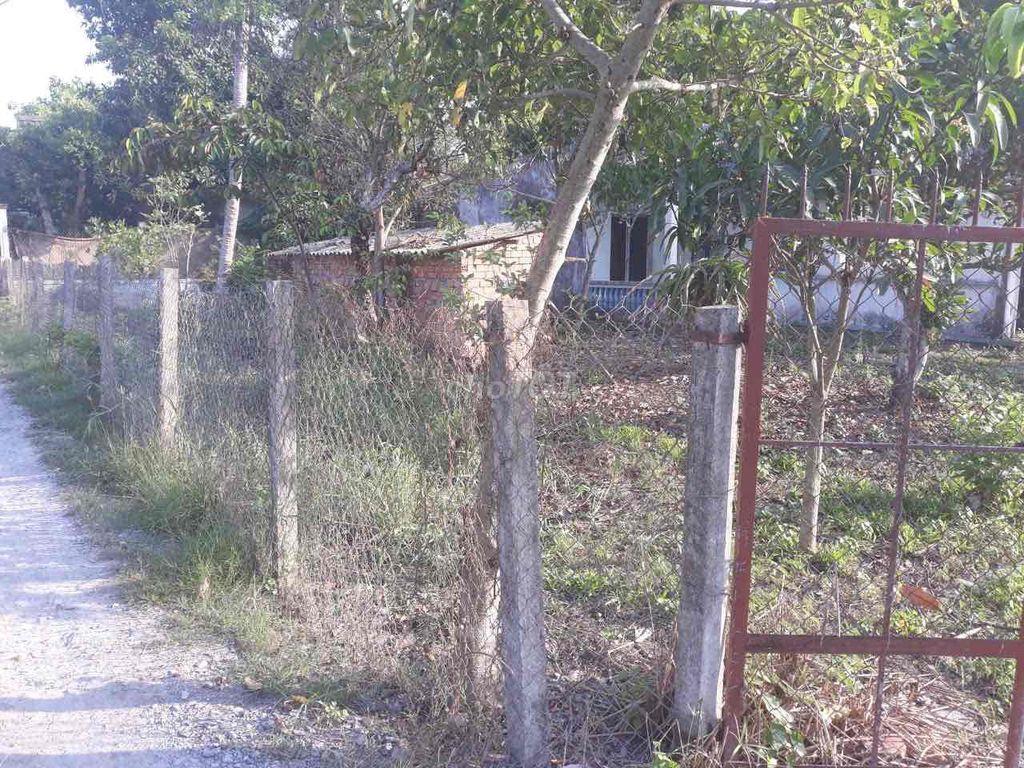 CHÍNH CHỦ BÁN ĐẤT LONg An