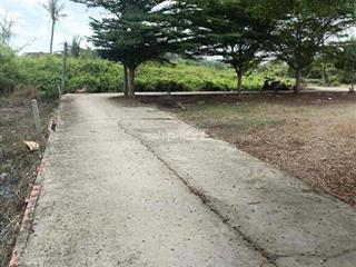 CẦN BÁN HẺM XE HƠI