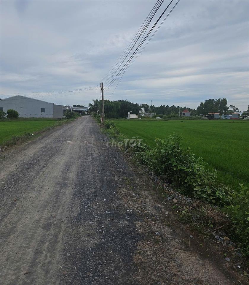 LÔ ĐẤT ĐẸP CÁCH 2 DỰ ÁN VINHOMES HẬU NGHĨA - TÂN MỸ CHỈ <2KM