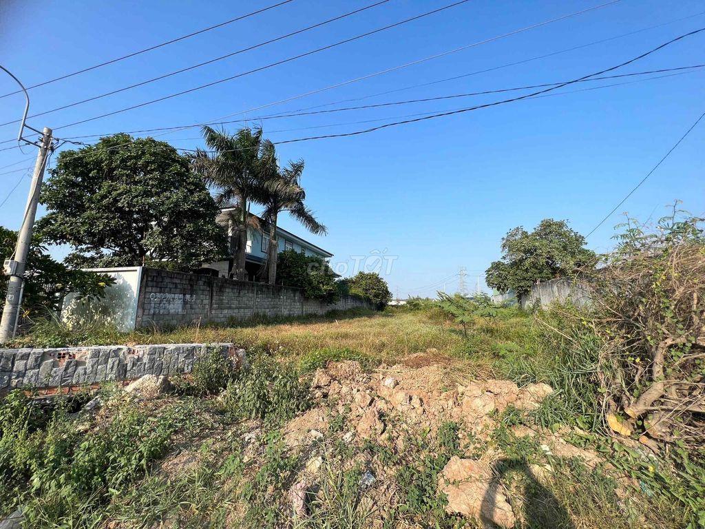 Cần bán đất chính chủ
