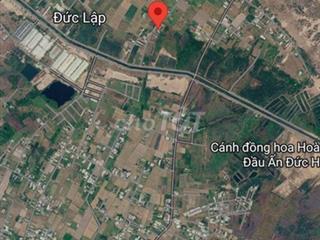 Đất khu rừng sến, Lục Viên, Mỹ Hạnh Bắc, Long An