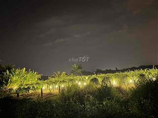 Đất Thổ Cư giá HAI BẢY CHÍN thần tài gõ cửa
