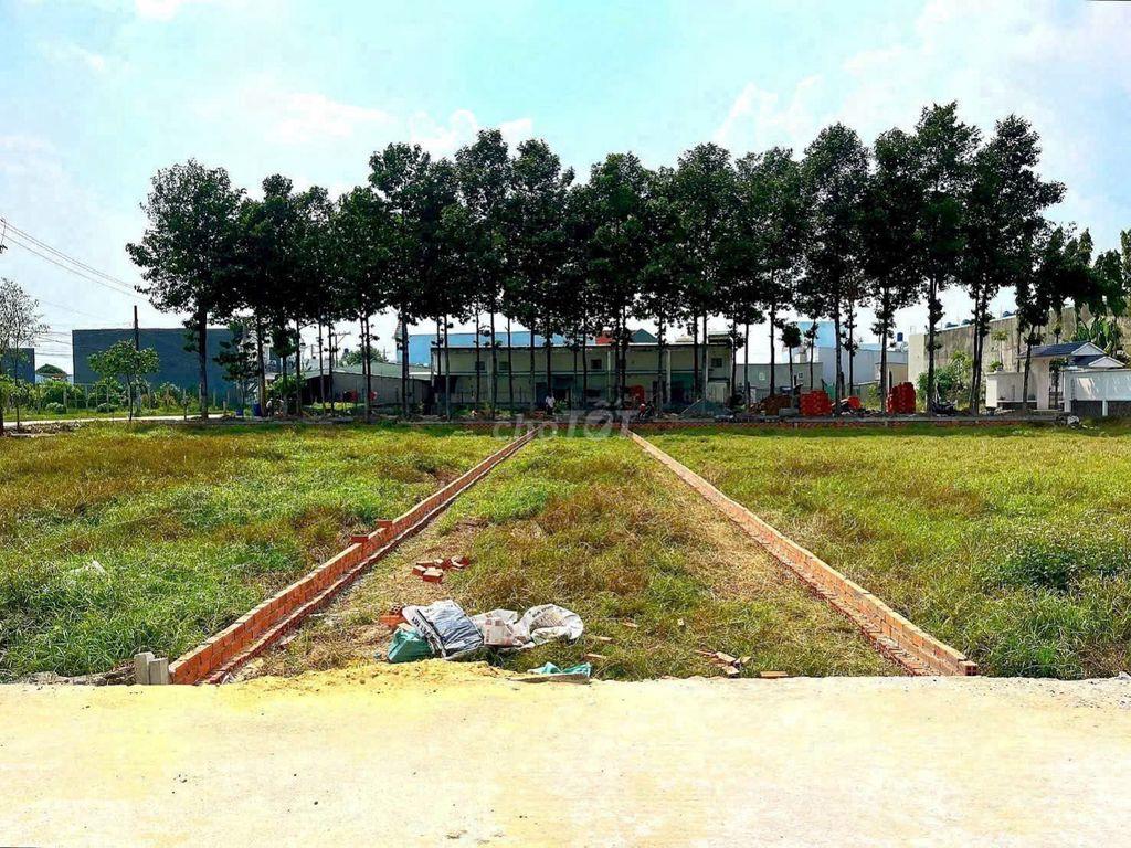 Bán gấp Đất chợ Cần Giuộc