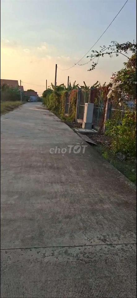 Bán gấp đất mặt tiền Nguyễn Thị Điểm huyện Tân Trụ tỉnh Long An
