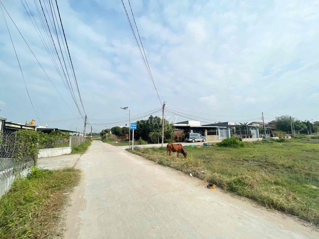 BÁN ĐẤT CHÍNH CHỦ