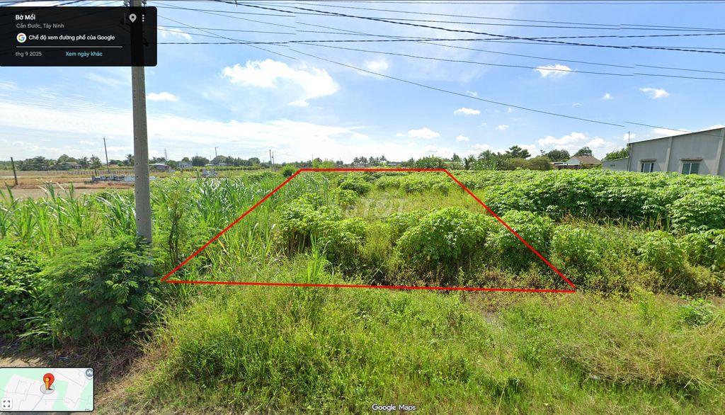 CHÍNH CHỦ BÁN ĐẤT PHƯỚC TUY - CẦN ĐƯỚC
