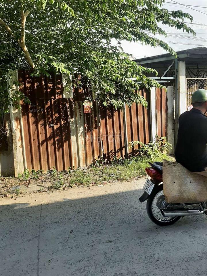 Đất  mặt tiền đường nhựa đức hòa đông
