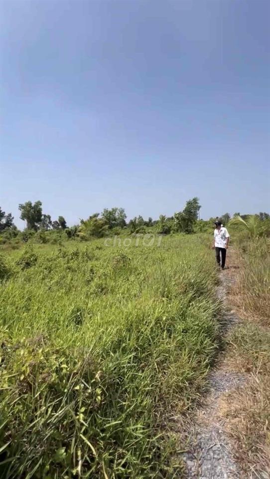 Cần bán đất Long An