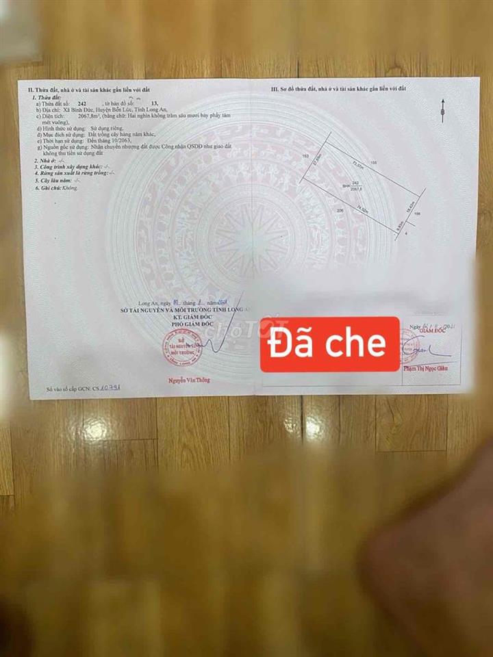 Cần bán đất Long An
