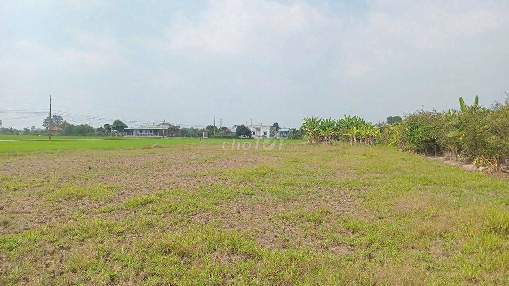 1968m2 đất lúa – quy hoạch full đất thổ