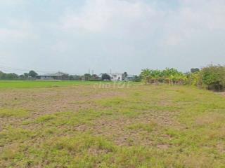 1968m2 đất lúa – quy hoạch full đất thổ