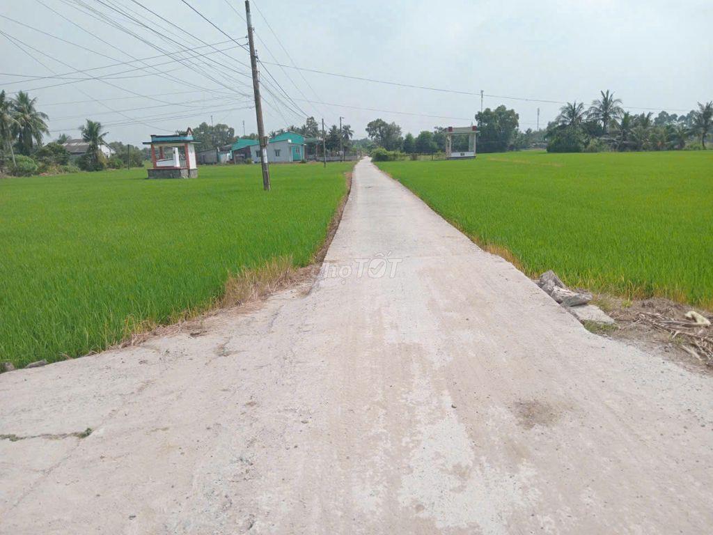 1968m2 đất lúa – quy hoạch full đất thổ