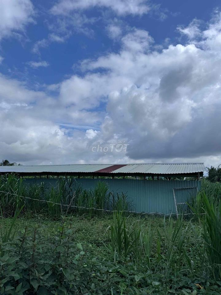 cho thuê 12.000 m2 đất vườn có 700 m2 nhà MT đường Dương thị ngọc Hoa
