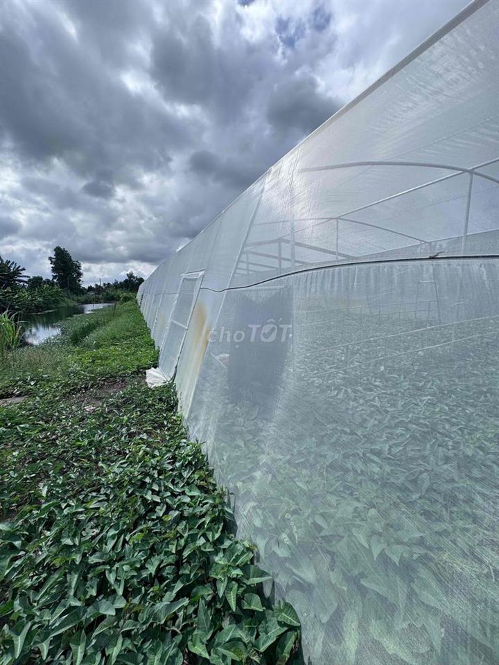 cho thuê 12.000 m2 đất vườn có 700 m2 nhà MT đường Dương thị ngọc Hoa