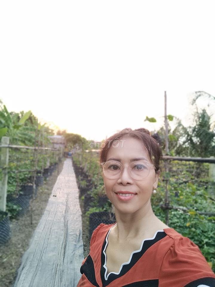 Cho thuê đất trồng rau 