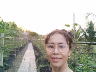 Cho thuê đất trồng rau 